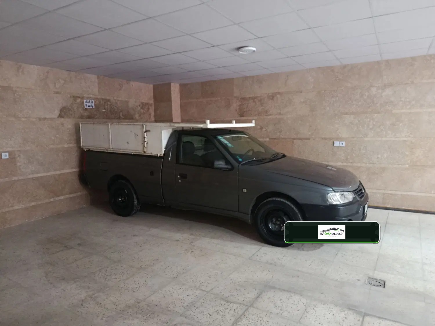 وانت