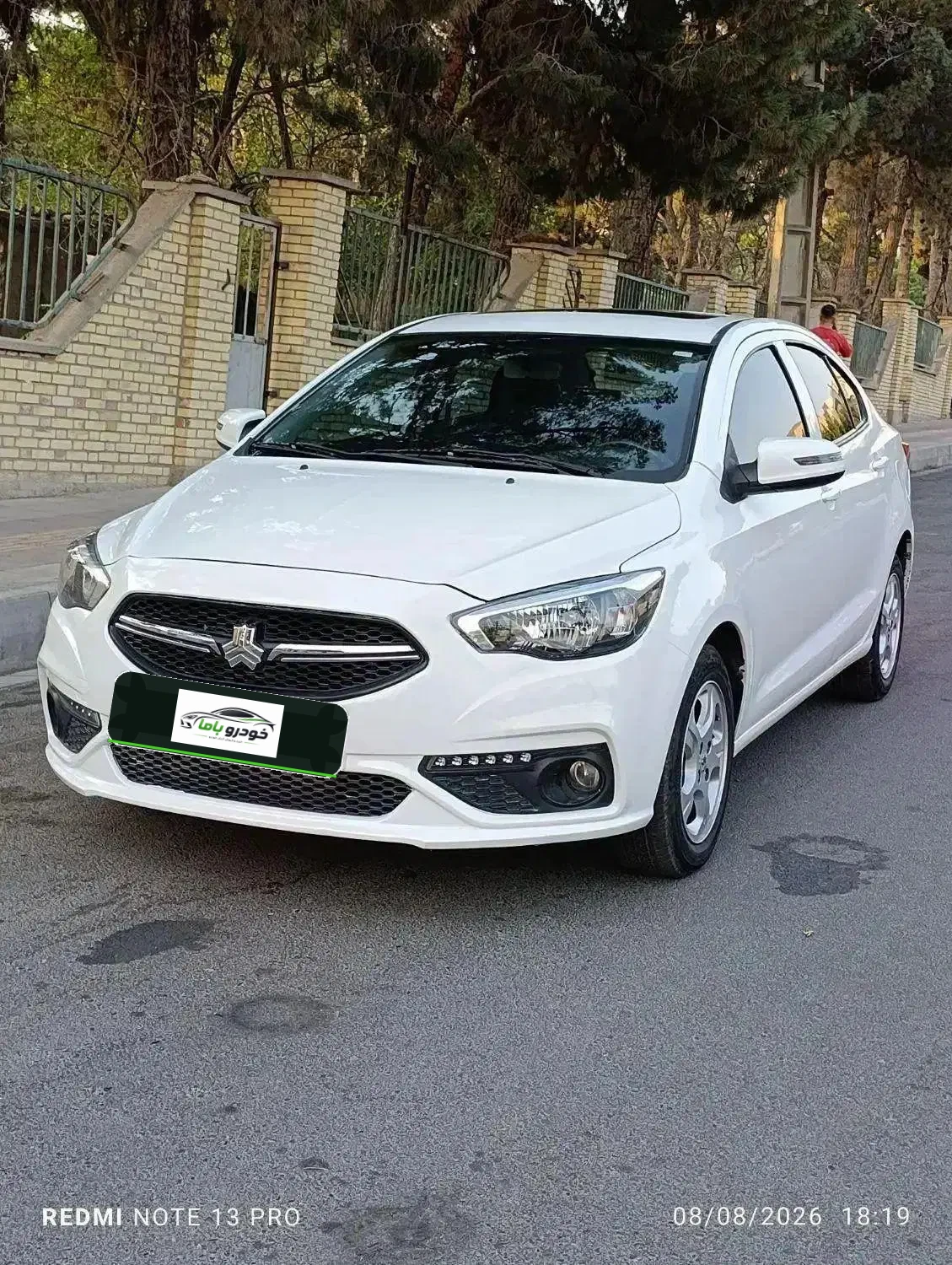 شاهین