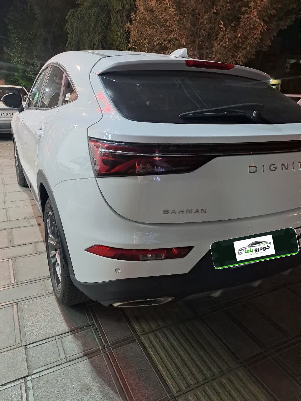 DIGNITY 1404
