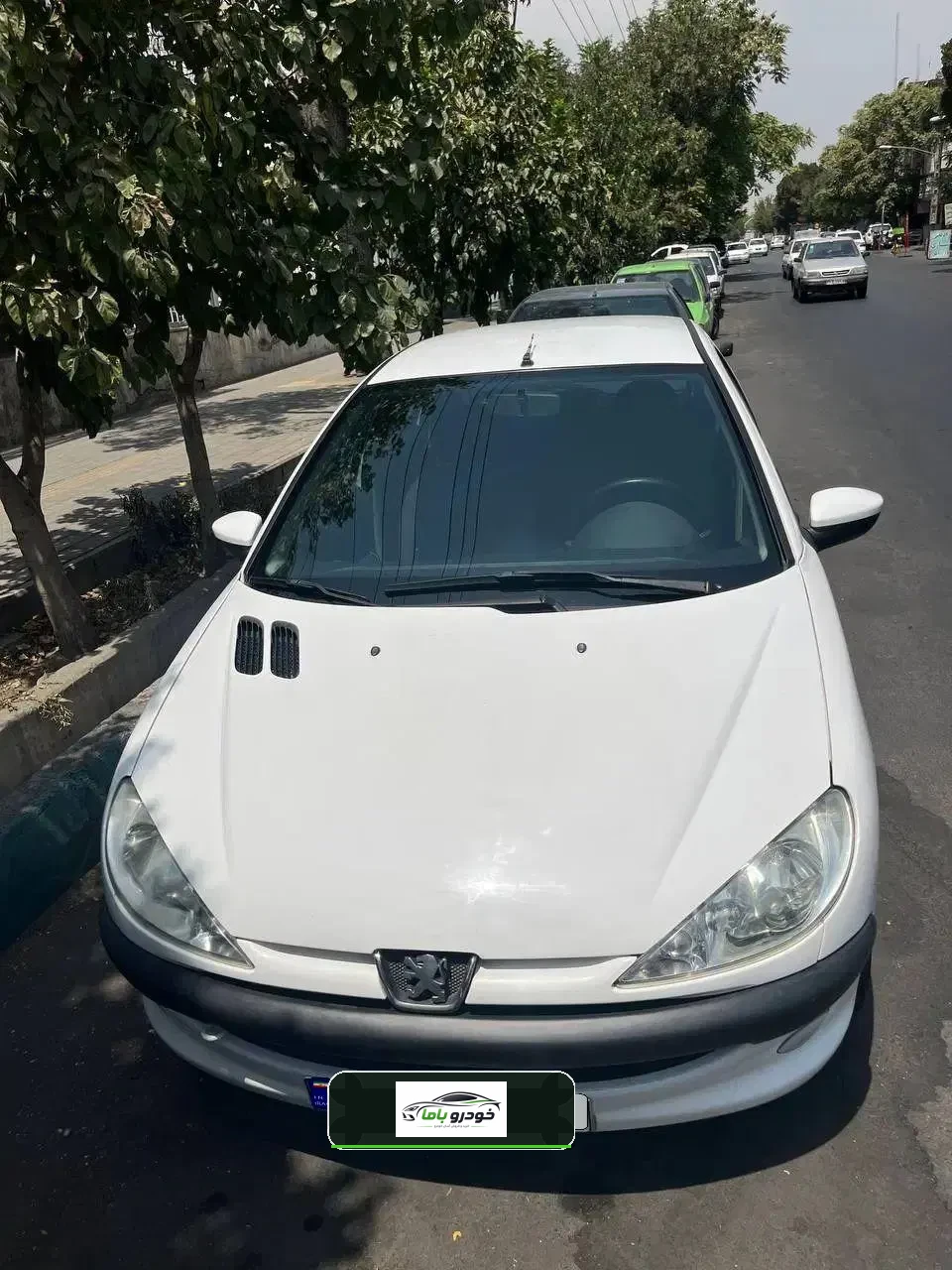۲۰۶ بی‌رنگ